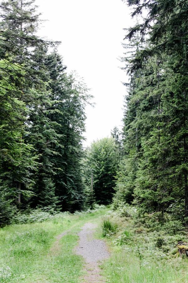 4-Zimmer-Ferienwohnung Waldbluemle Dobel Extérieur photo