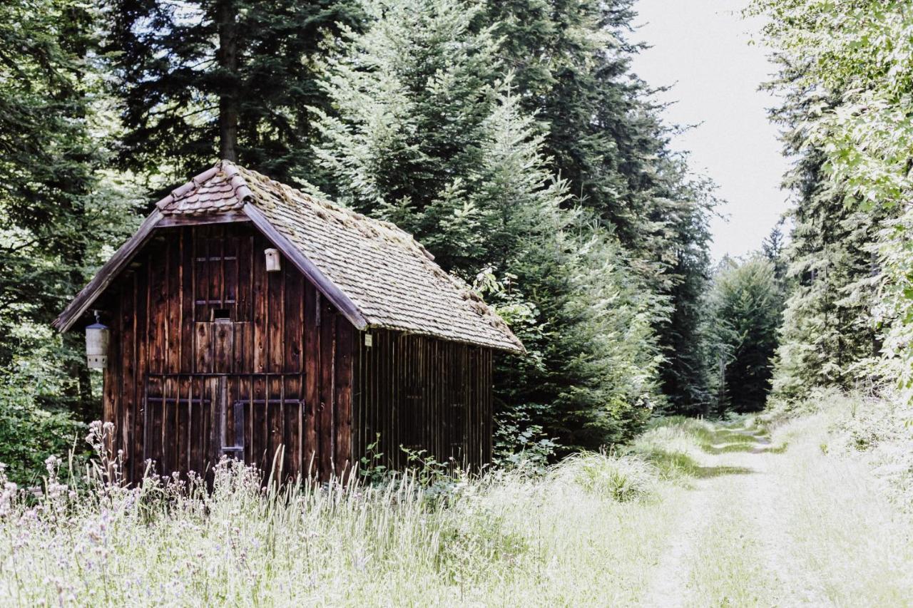 4-Zimmer-Ferienwohnung Waldbluemle Dobel Extérieur photo